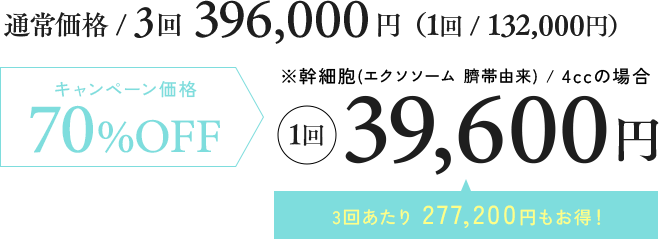 キャンペーン価格 70%OFF 118,800円