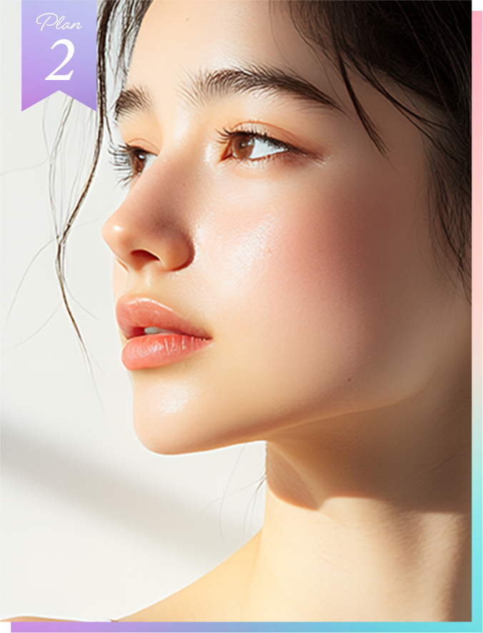 モニタープラン 悩み別カスタマイズ