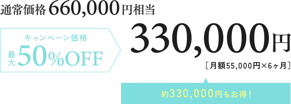 キャンペーン価格 50%OFF 330,000円