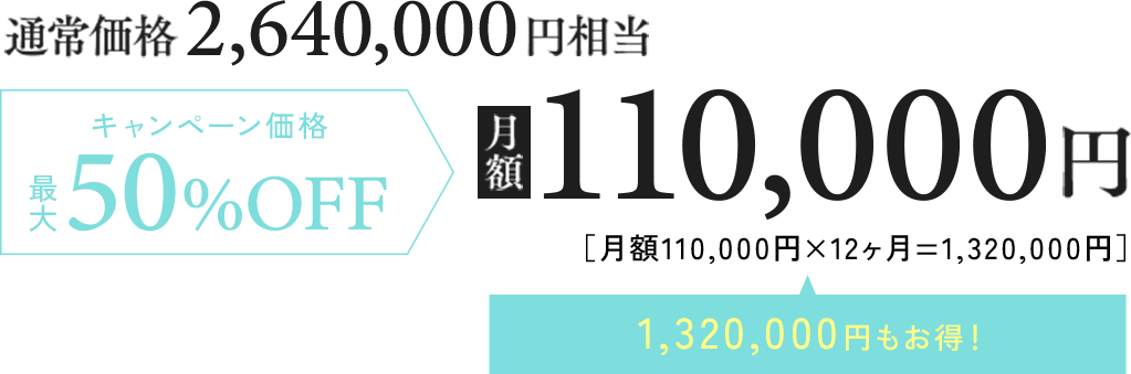 キャンペーン価格 50%OFF 330,000円