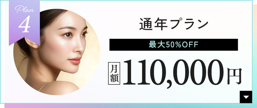通年プラン